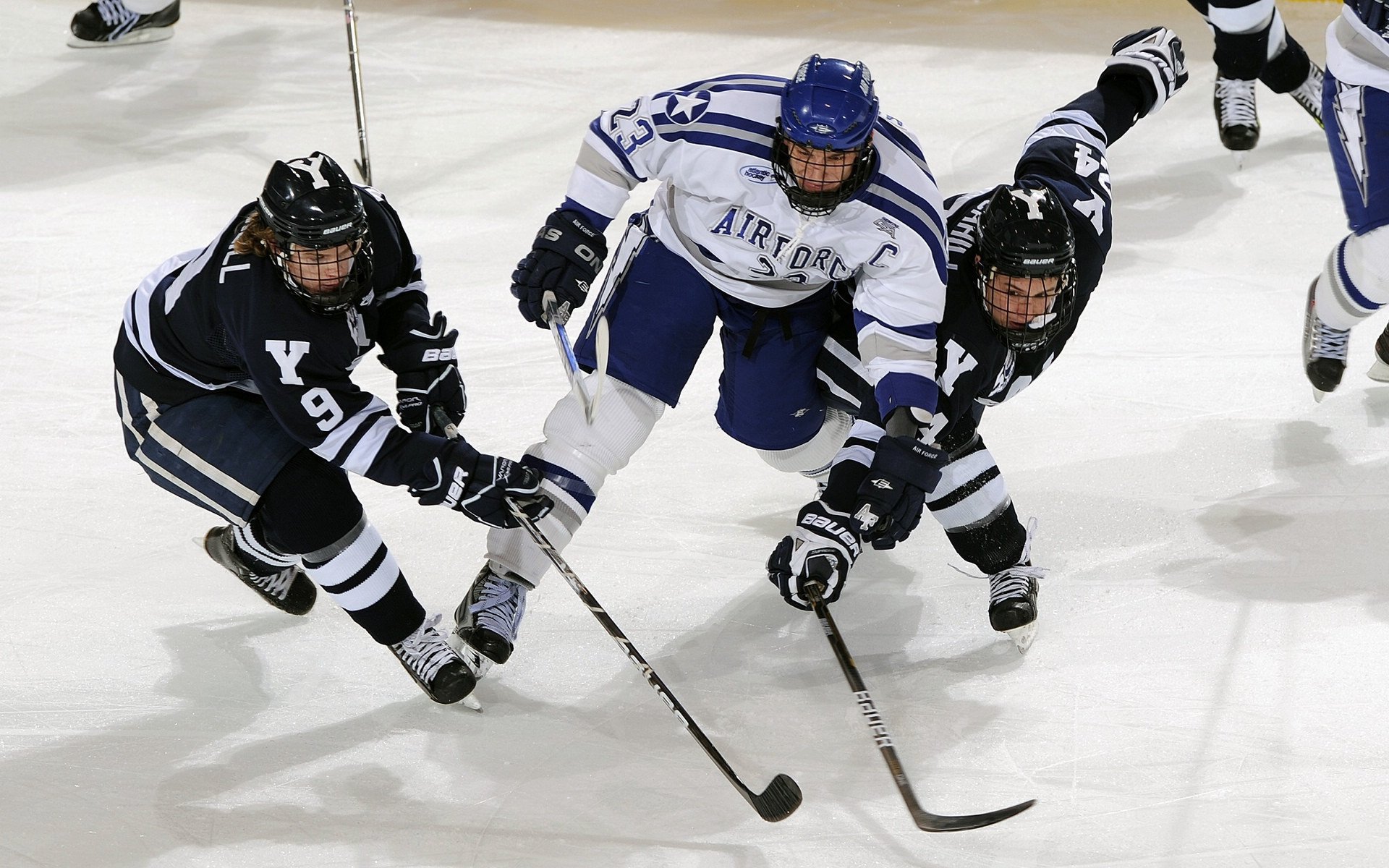蝶泳名将再破纪录，世锦赛上演巅峰对决